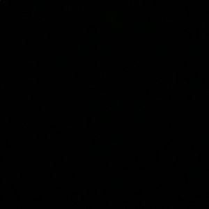 Meet your Posher, Larry